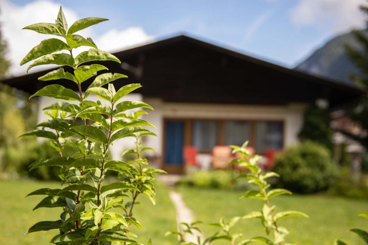 Forellenhof Appartements & Grossmutters Bungalow Leutasch Εξωτερικό φωτογραφία
